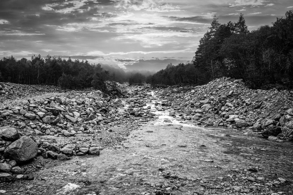 Photograph by Сергей Шпаков