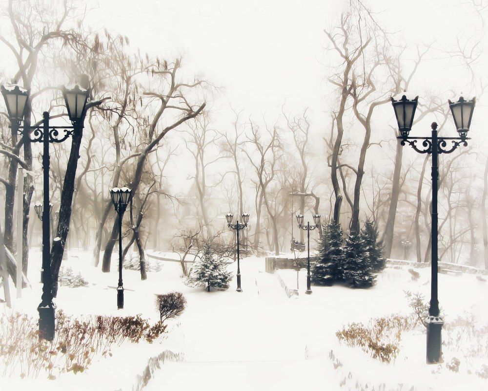 Photograph by Елена Копытова