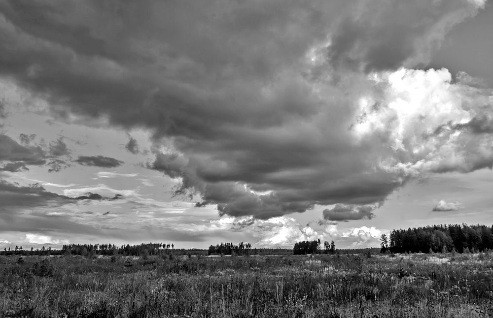 Photograph by Валерий Клейменов