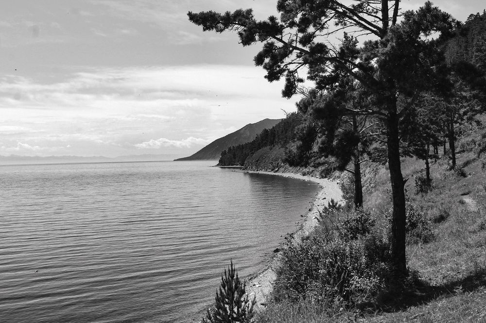 Фотография автора Александра Крюковская