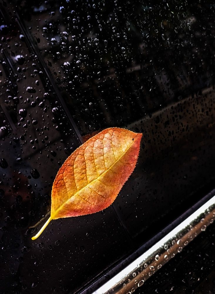 Photograph by Ольга Терскова
