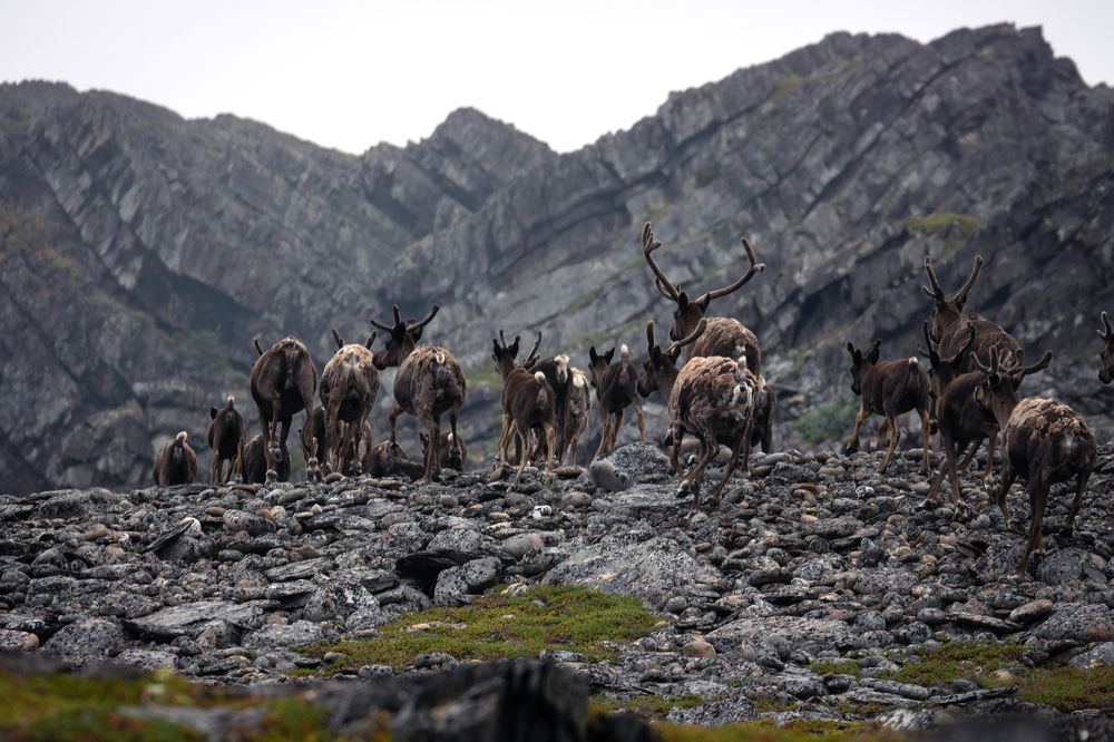 Photograph by Svetlana