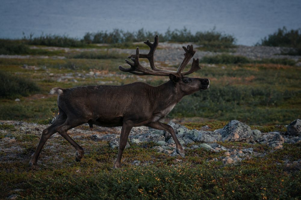 Photograph by Svetlana