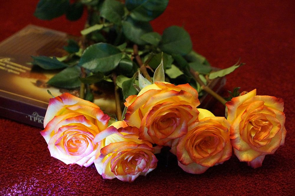 Photograph by Галина Кан