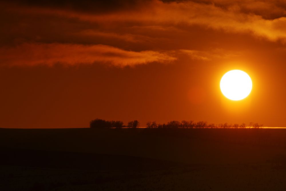 Photograph by Сергей Удовиченко