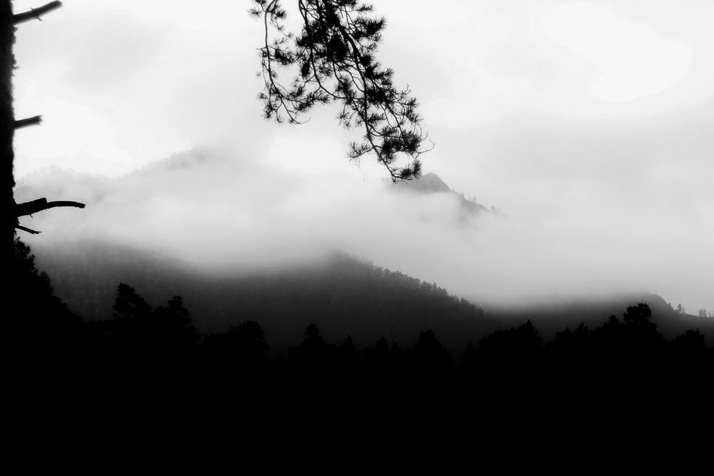 Photograph by Александра Петрова