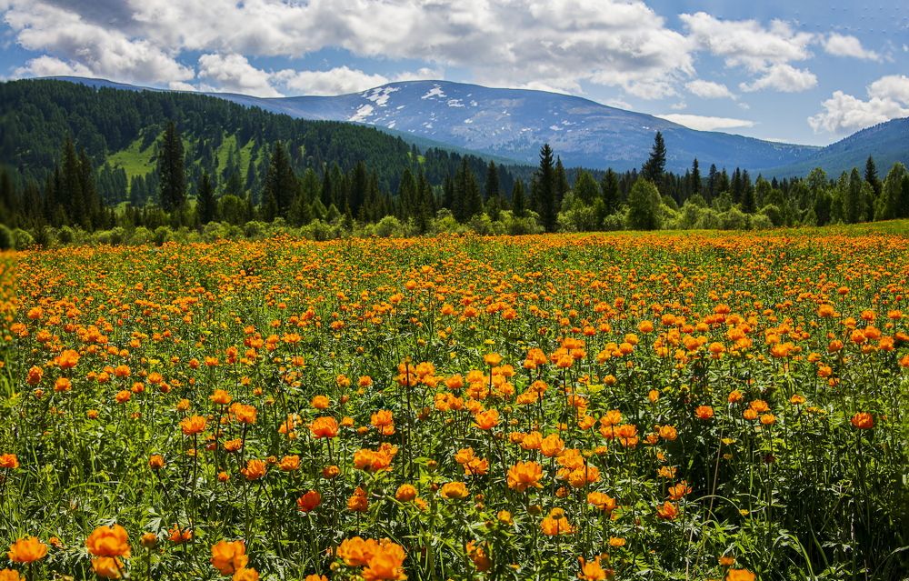 Photograph by Валентин Казанцев