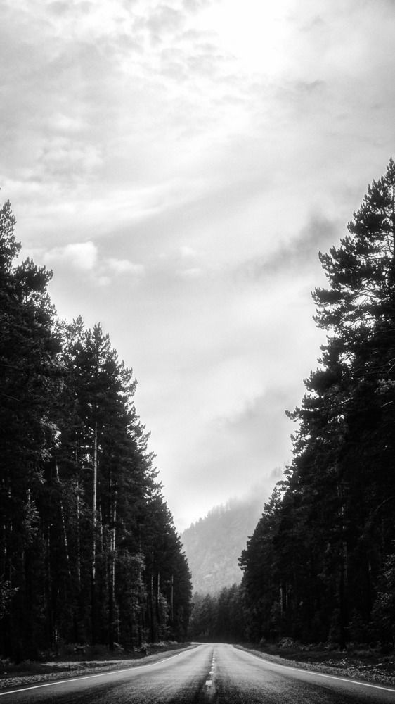 Photograph by Андрей Летов