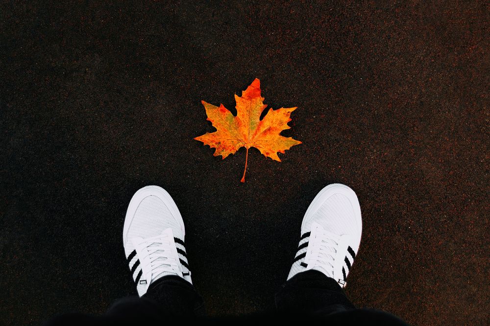 Photograph by Сергей Удовиченко