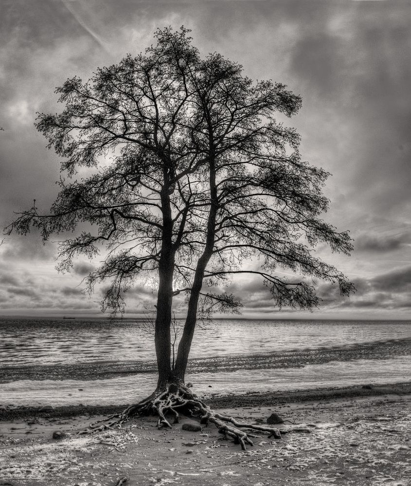 Photograph by 