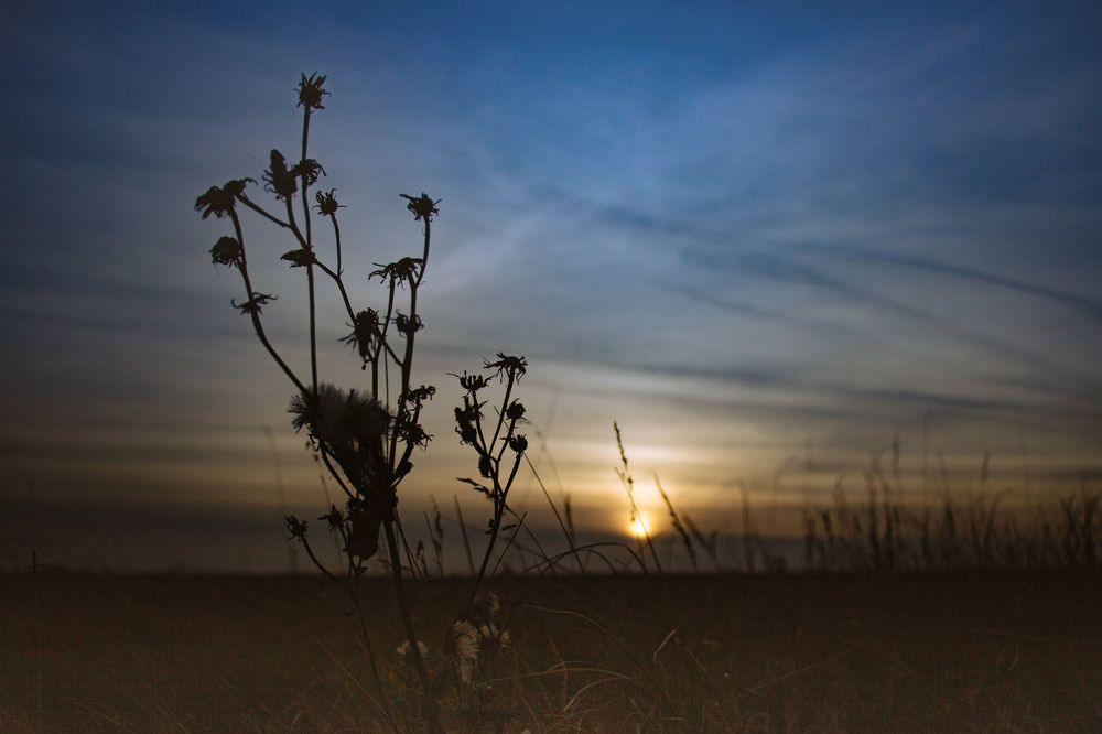 Фотография автора Елена Запертова