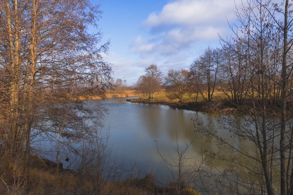 Фотография автора Елена Запертова