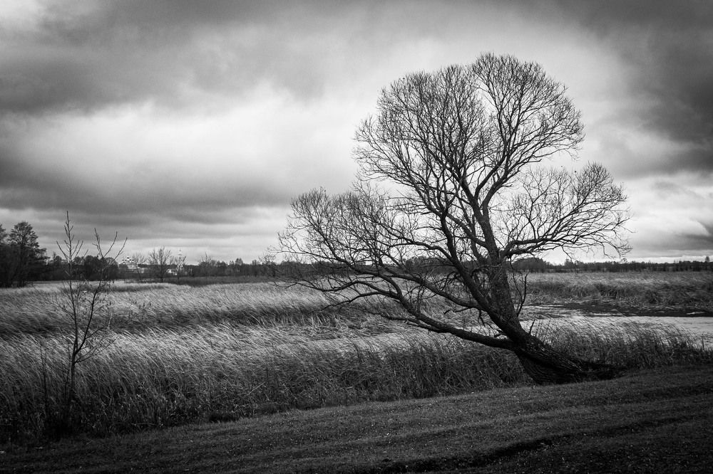 Фотография автора Елена Запертова