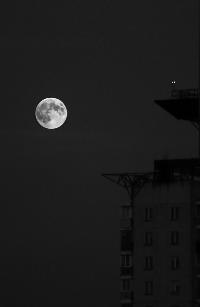 Фотография автора Татьяна Миранович