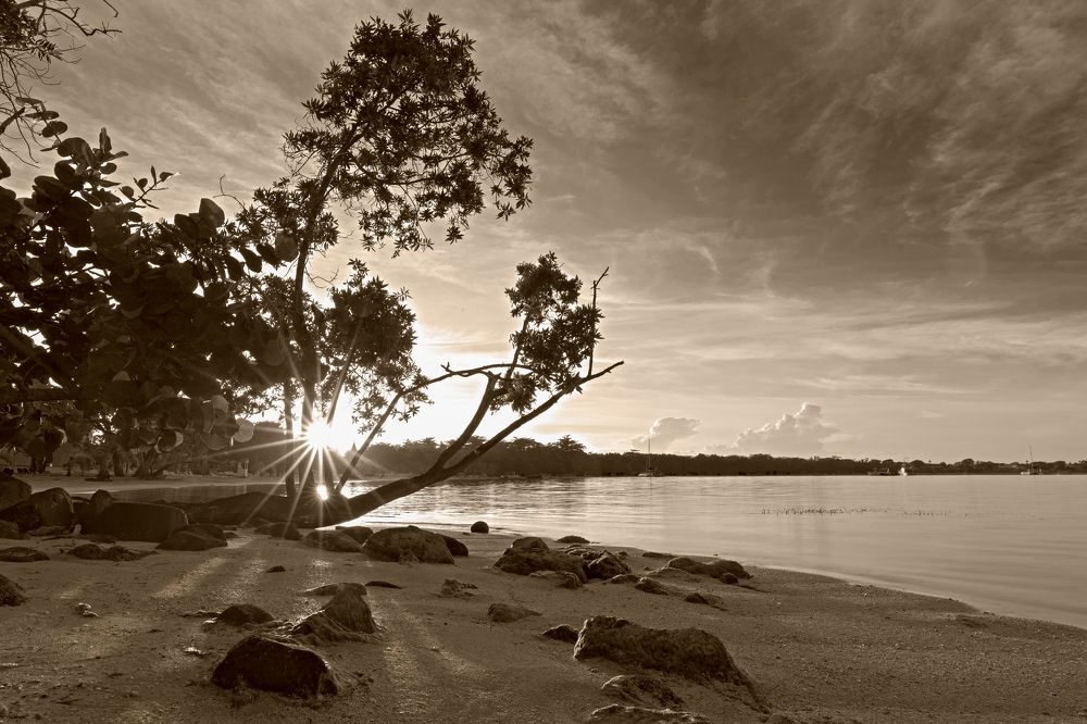 Photograph by Максим Мураков