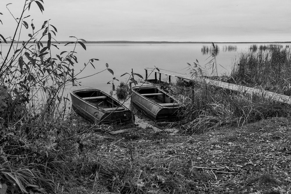 Фотография автора Елена Запертова