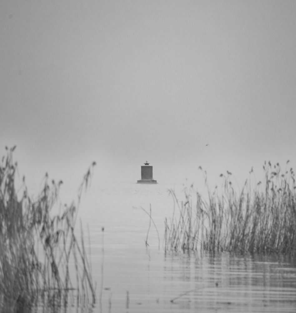 Photograph by Екатерина Родченкова