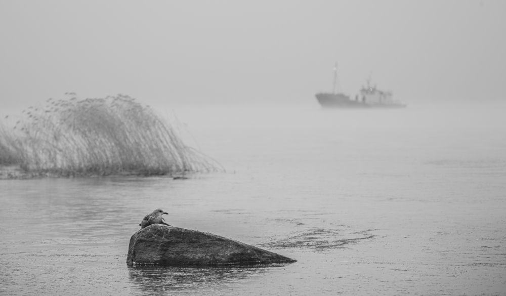 Photograph by Екатерина Родченкова