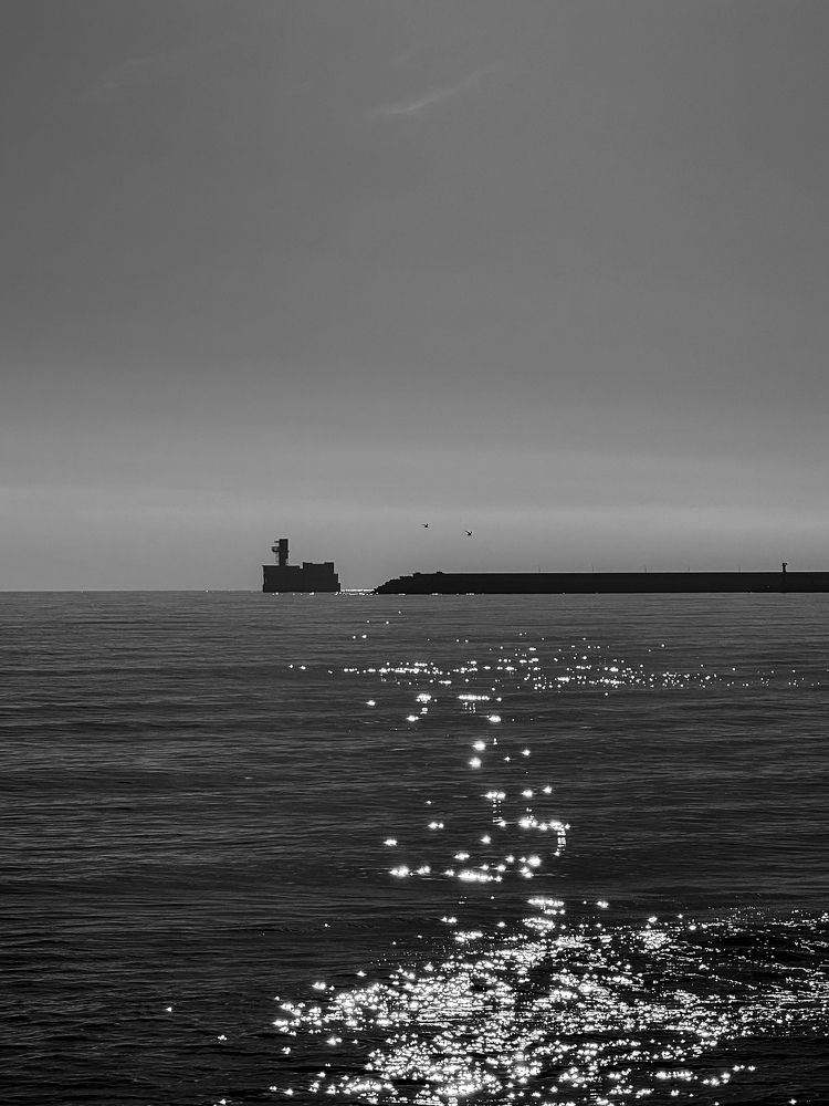 Фотография автора Юлия Осетрова