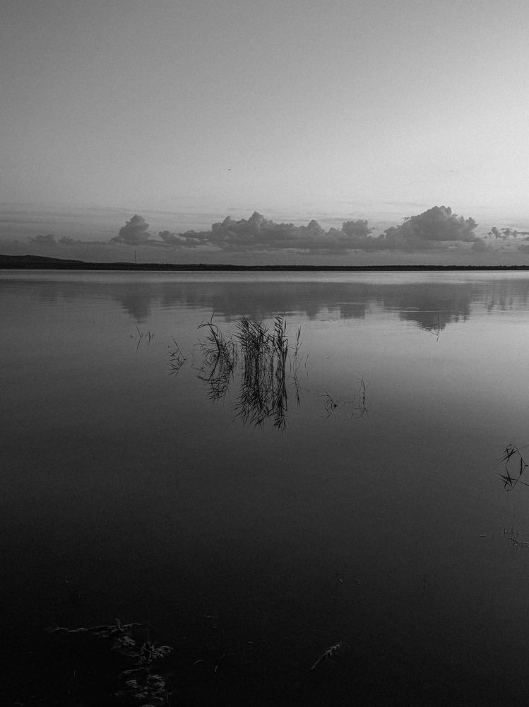 Фотография автора Юлия Осетрова