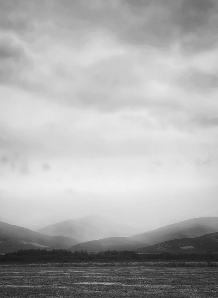 Фотография автора Елена