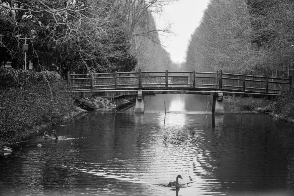 Photograph by Samuel Chan