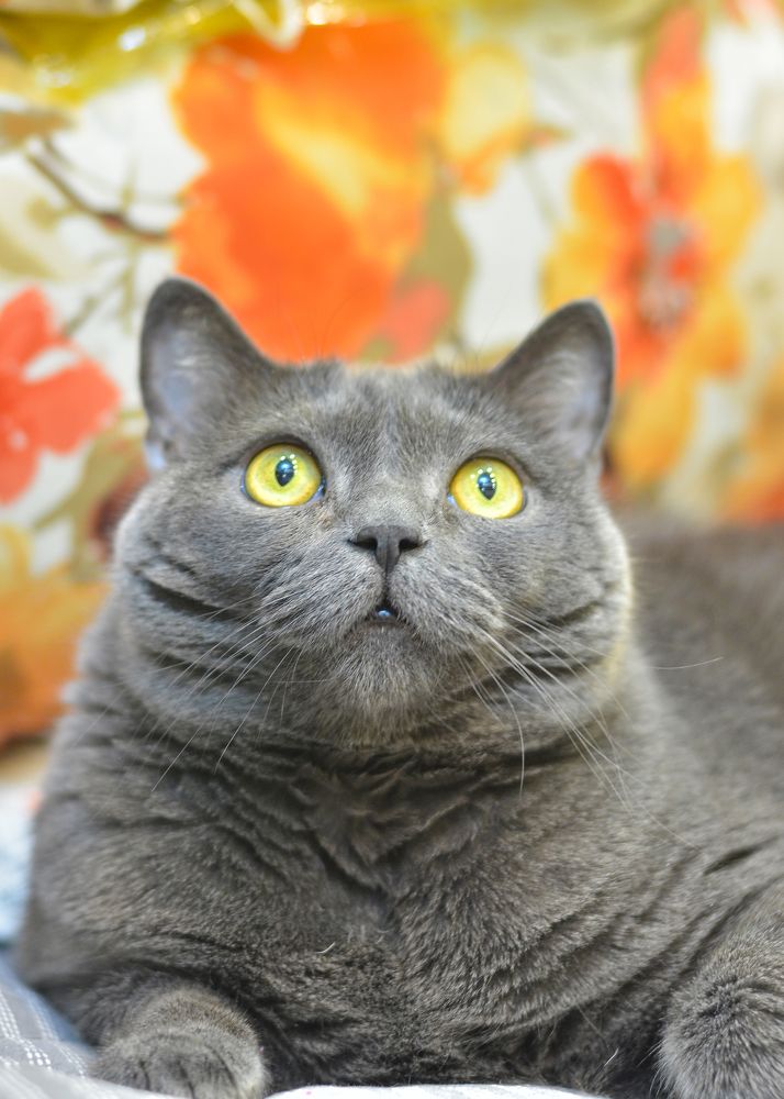 Photograph by Екатерина Ковалева