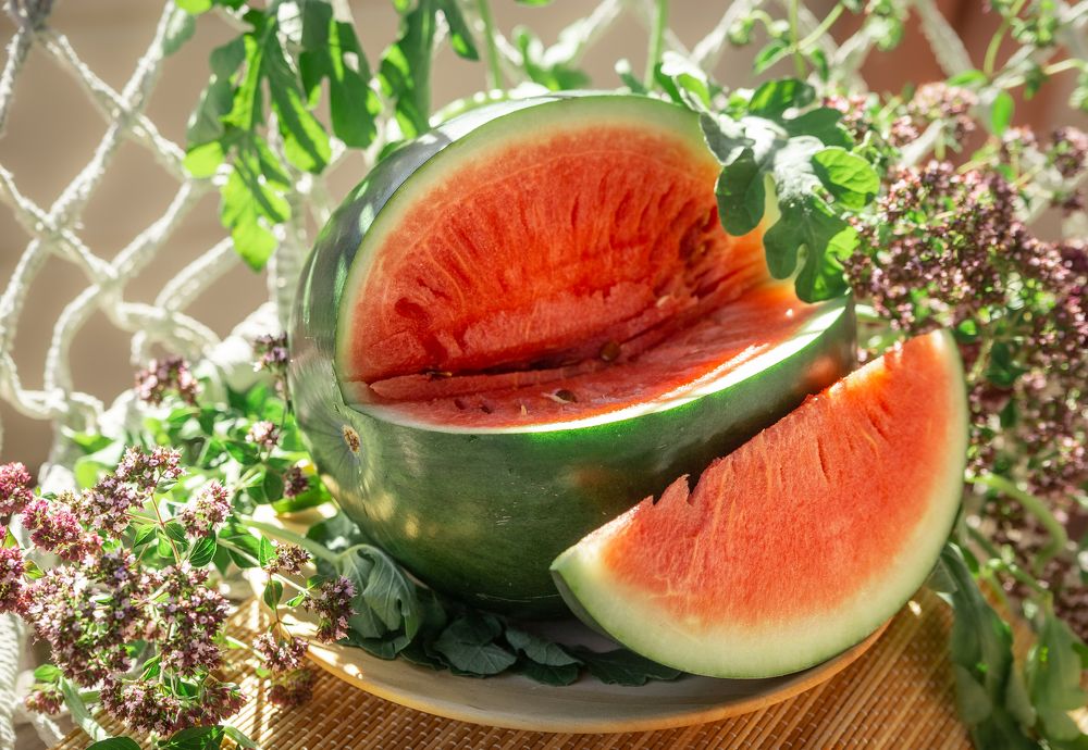 Photograph by Екатерина Родченкова