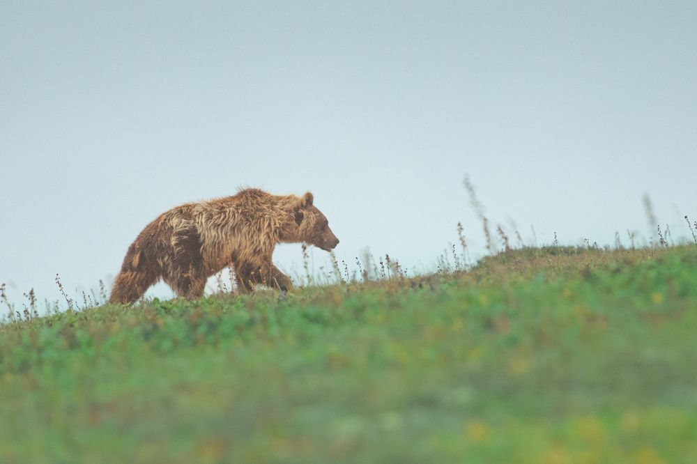 Photograph by Сергей Канашин