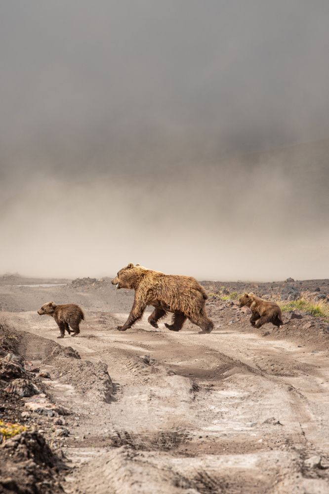 Photograph by Сергей Канашин