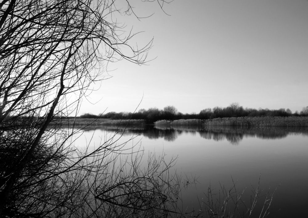 Photograph by Глеб Кузьминых