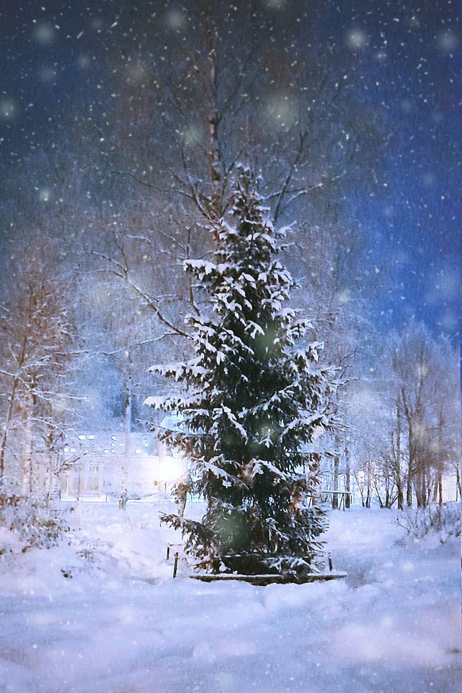 Photograph by Соколова Елена