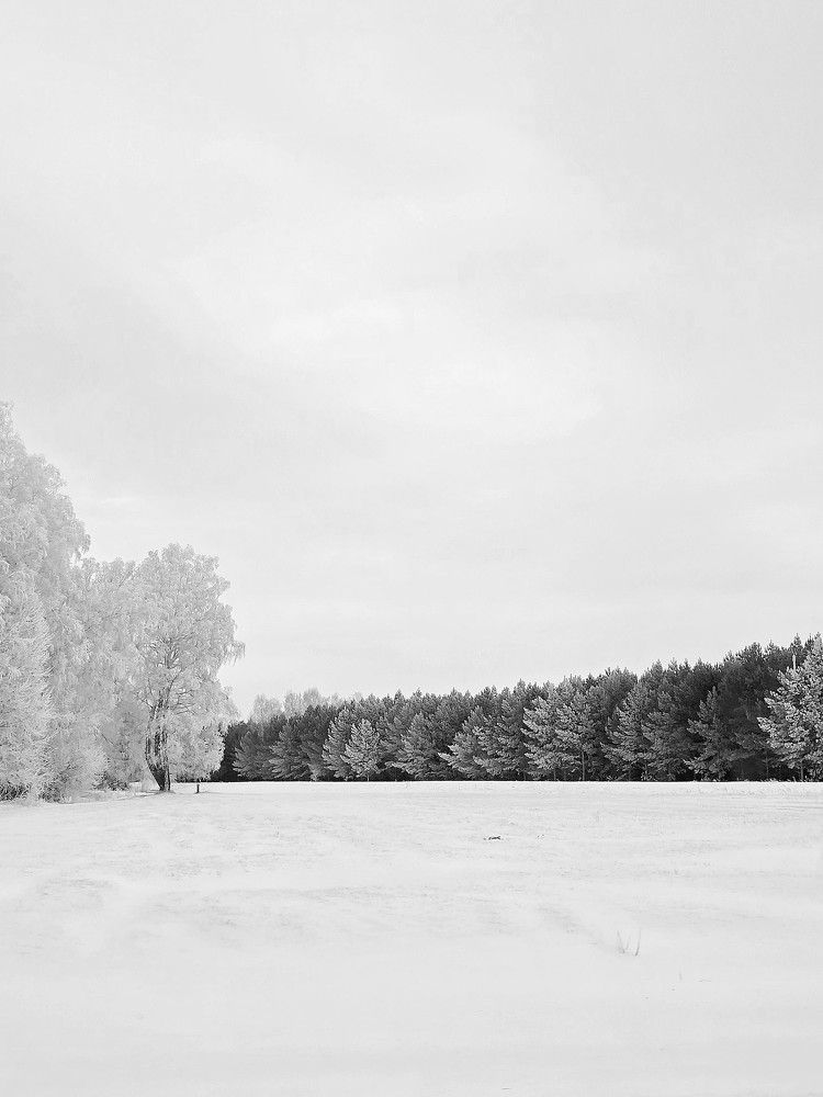 Фотография автора Наталья Иванова
