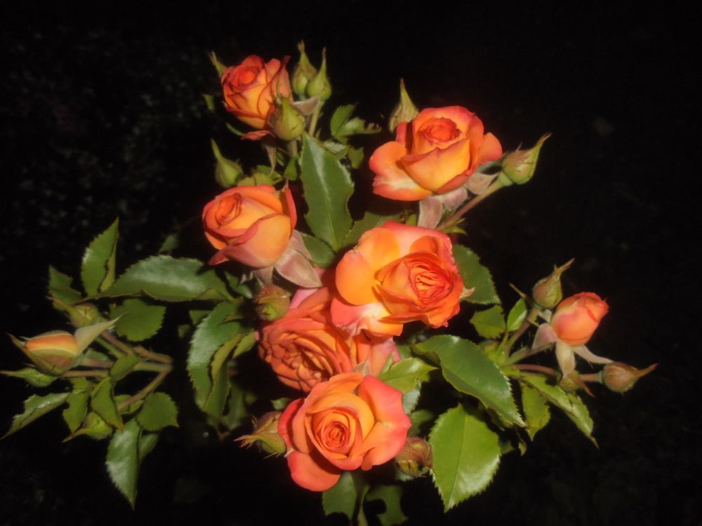 Photograph by Лилия Исхакова