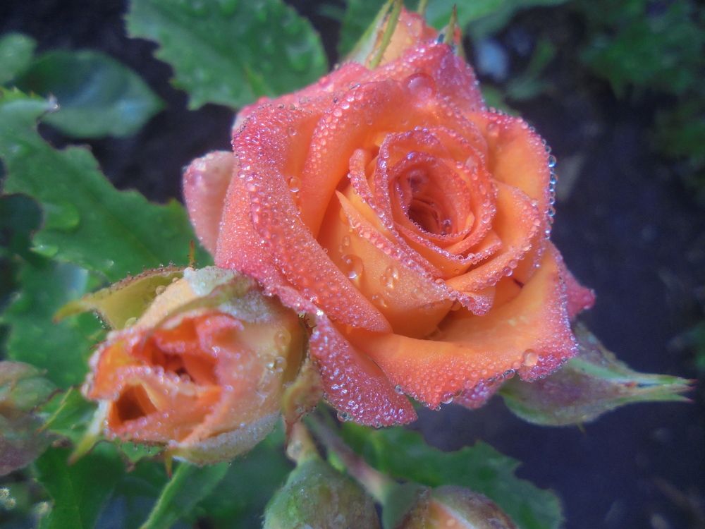 Photograph by Лилия Исхакова