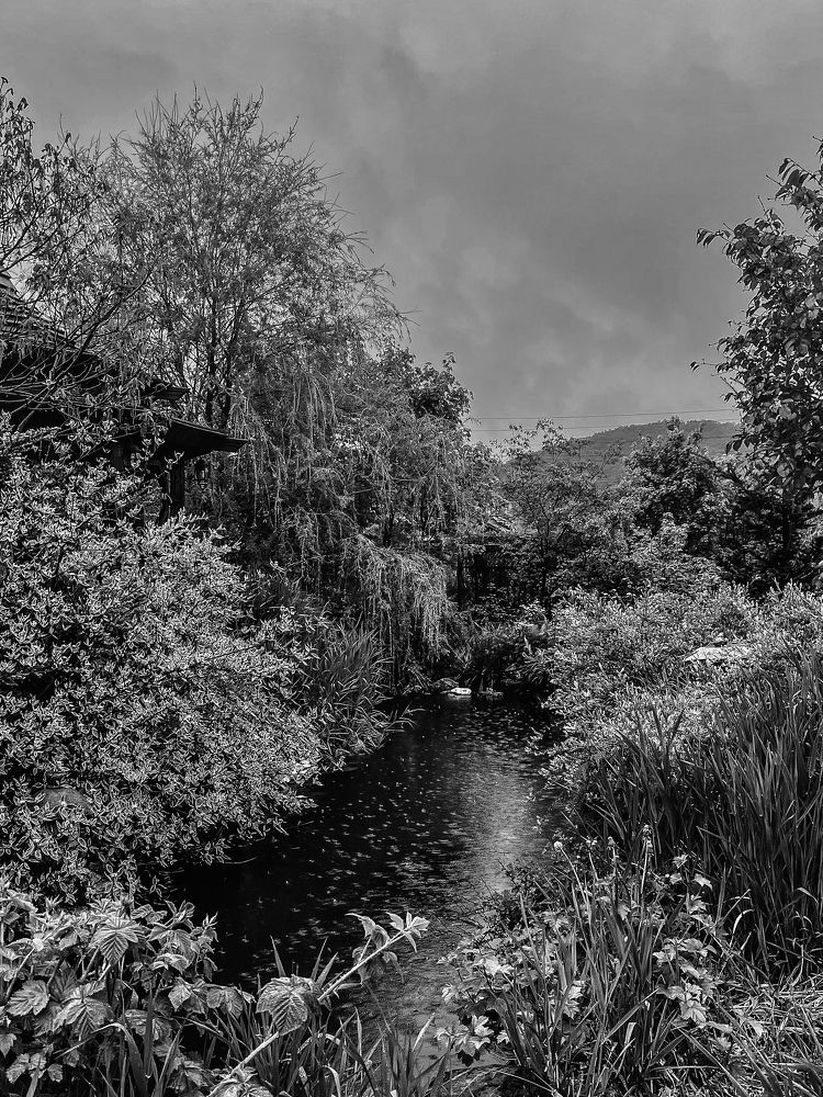 Фотография автора Елена