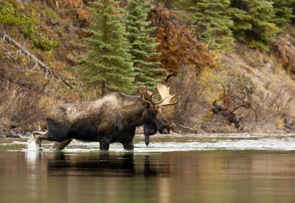 Фотография автора Владимир Цветов