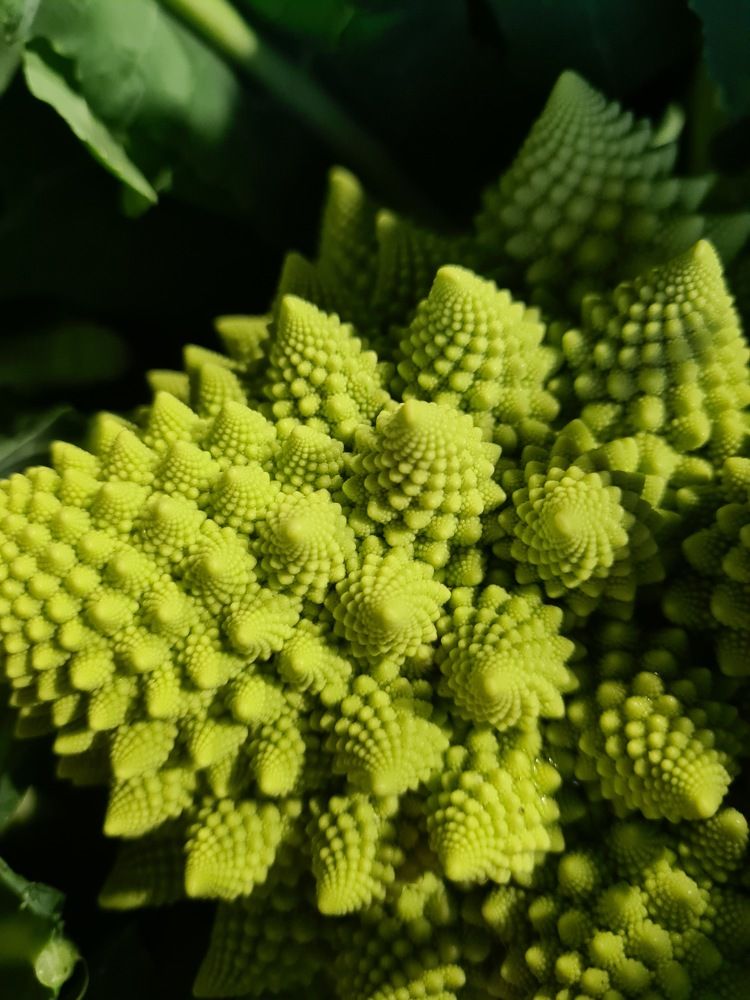 Photograph by Gloria casillas