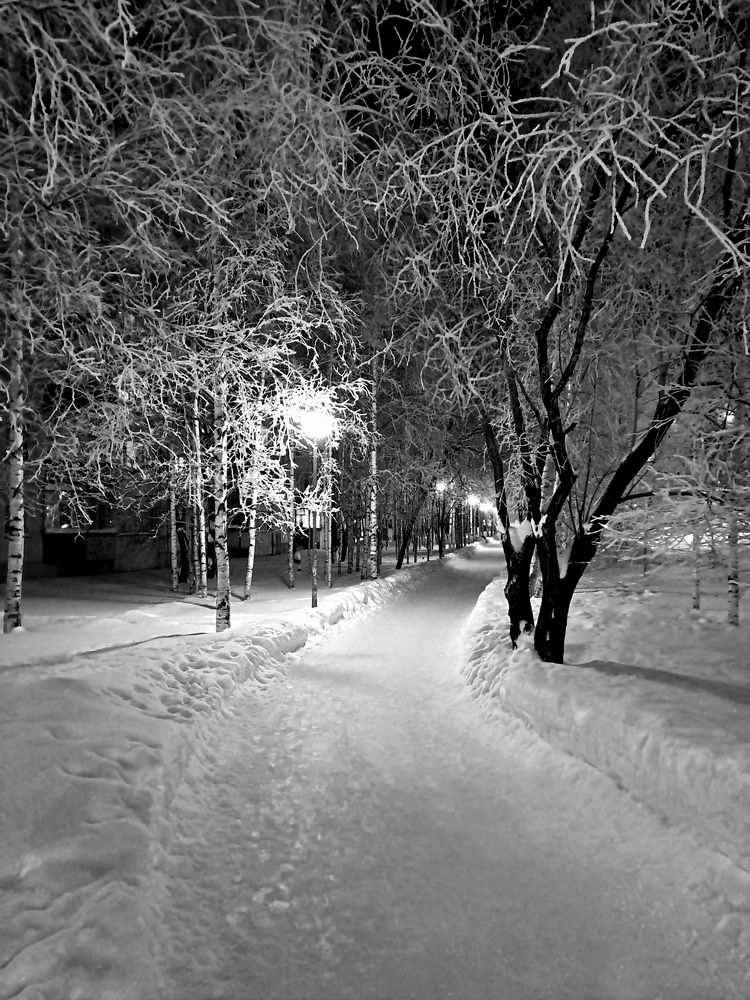 Photograph by Александр Никонофф