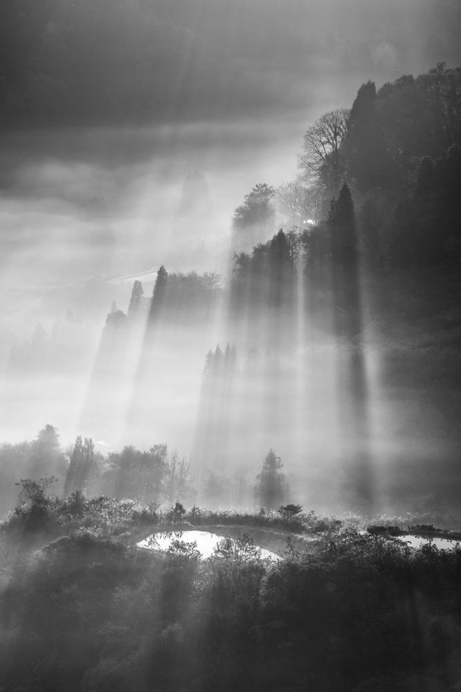 Photograph by 南雲 柊人