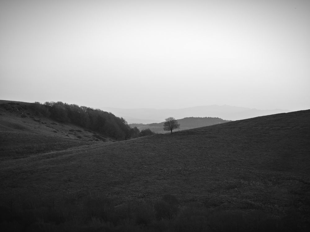 Photograph by Александра Шилова