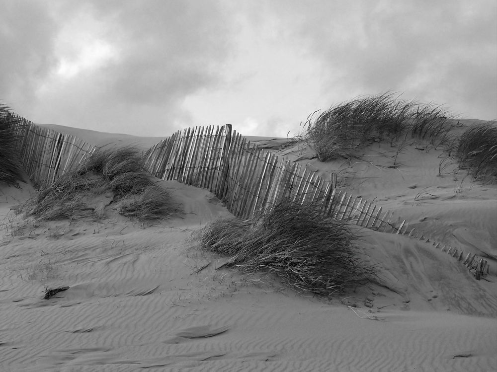 Photograph by Александра Шилова