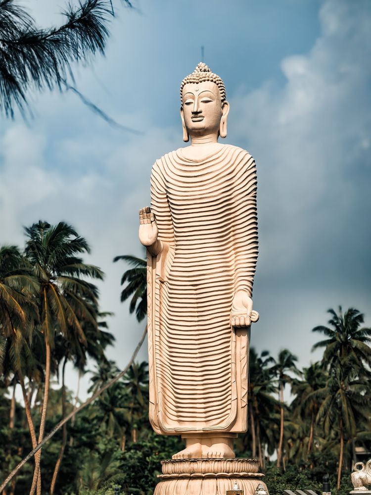 Photograph by Moni M