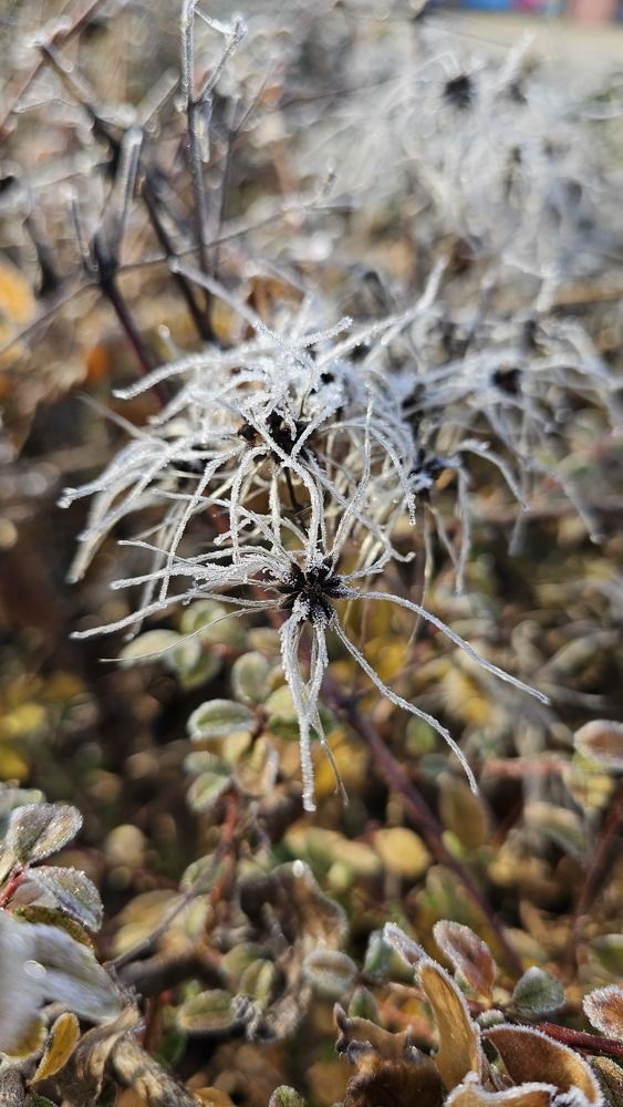 Photograph by Olga Siebert