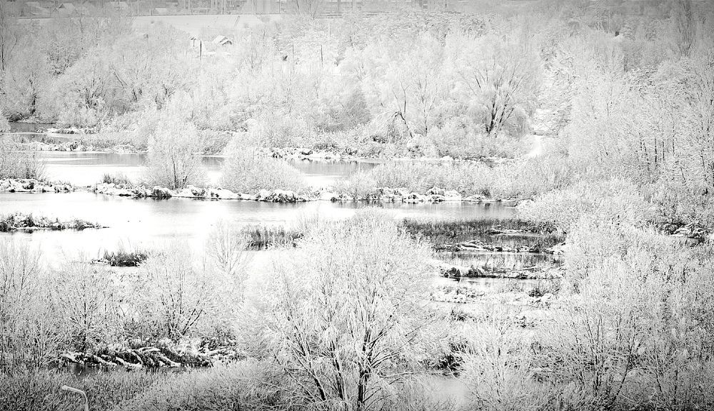 Photograph by Mishel Photographer