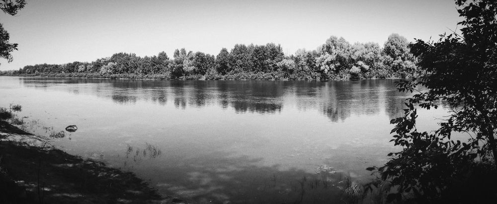 Photograph by Mishel Photographer