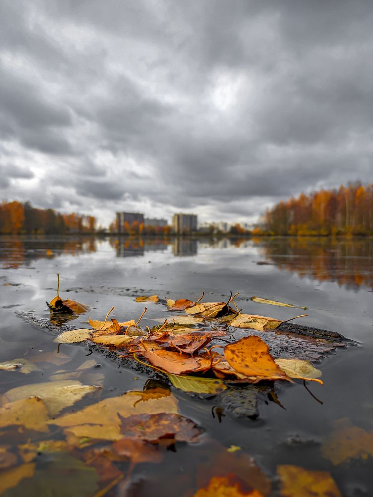 Photograph by Александр Хухлов