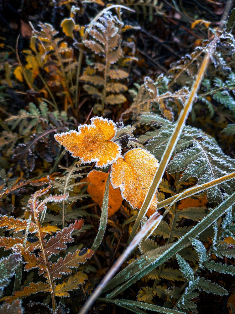 Фотография автора Александр Хухлов