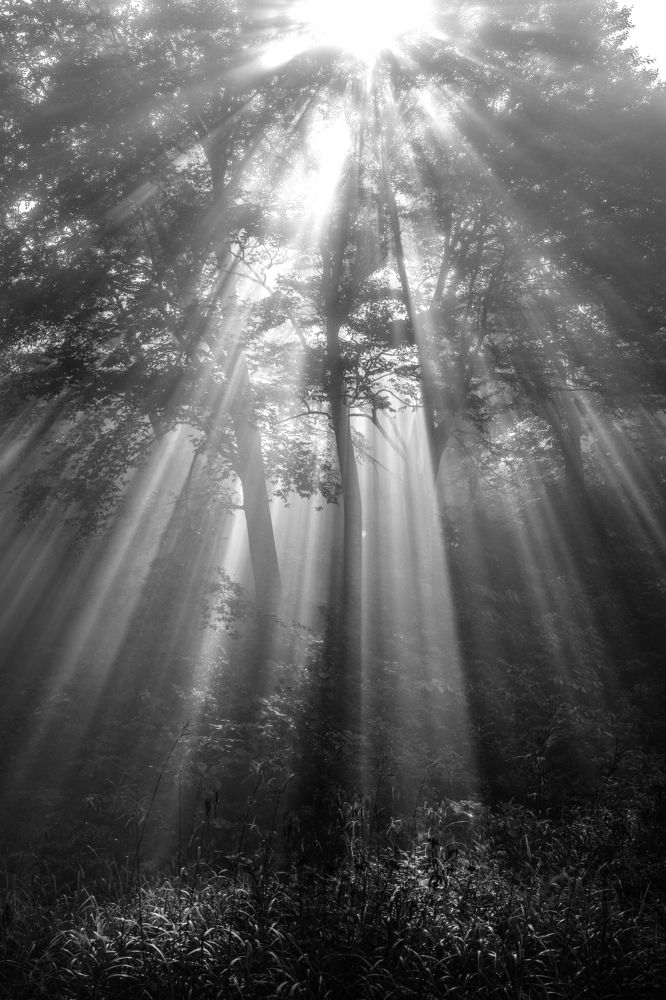 Photograph by 南雲 柊人