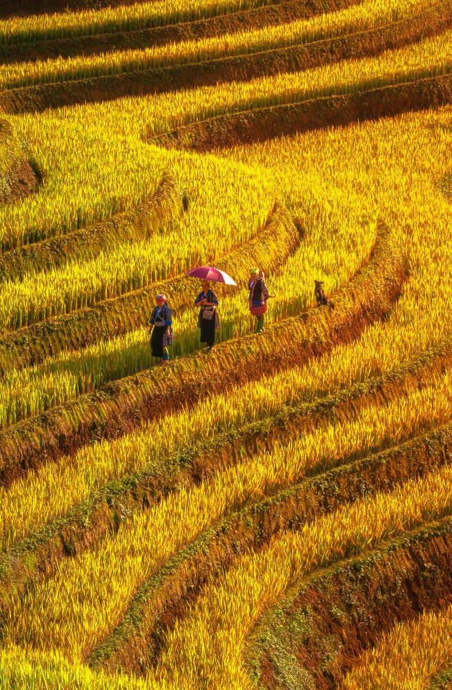Photograph by Tran Phuong